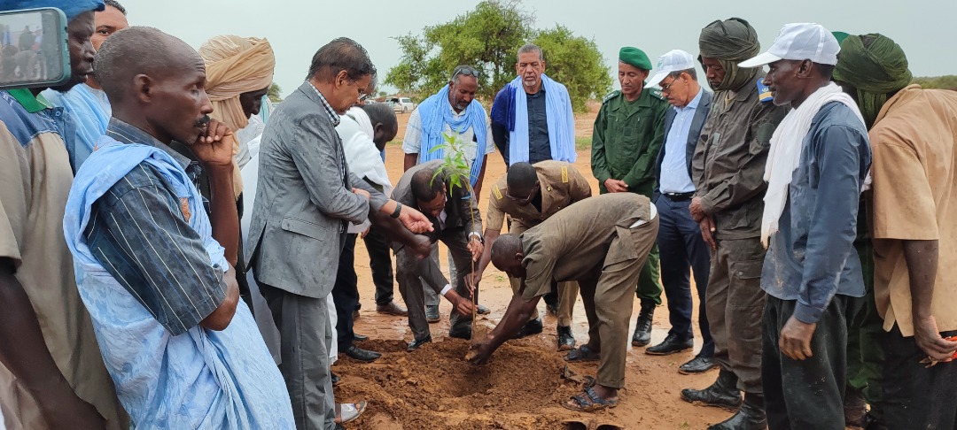 صورة تخدم المحتوى