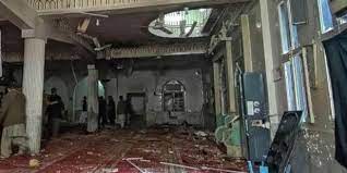 مصر تدين التفجير الإرهابي بمسجد في بيشاور الباكستانية