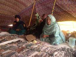 الدعم والتكوين أبرز مطالب التعاونيات النسوية في أزويرات 