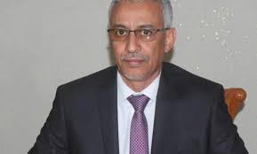 المندوب العام للتضامن الوطني ومكافحة الإقصاء "تآزر " محمد محمود بوعسرية،