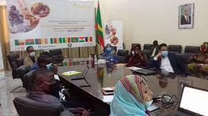 صورة تخدم المحتوى