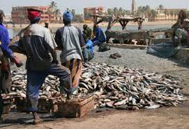 مصر تبدي اهتمامها باستيراد الأسماك من موريتانيا