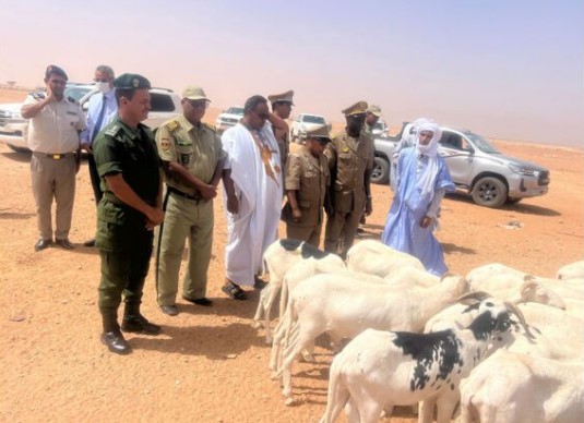 تيرس الزمور: الوالي يتفقد سوق المواشي في ازويرات