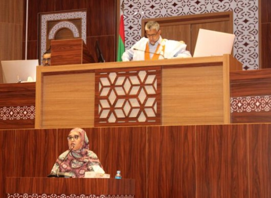 وزيرة البيئة: الضغوط البشرية والتغير المناخي مخاطر تهدد الشاطئ