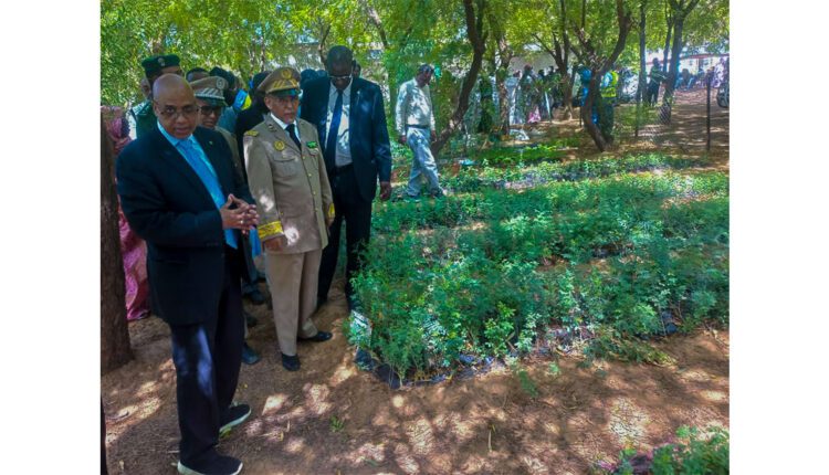 إطلاق فعاليات الأسبوع الوطني للشجرة بولاية لعصابه