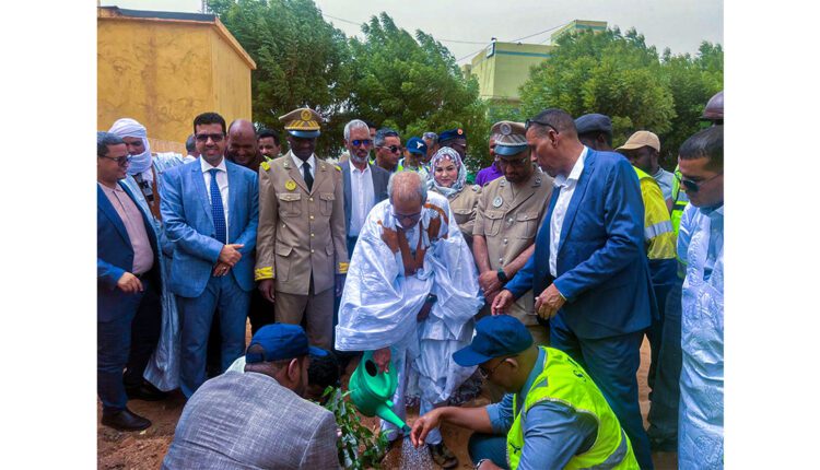 إطلاق فعاليات الأسبوع الوطني للشجرة بولاية تيرس زمور