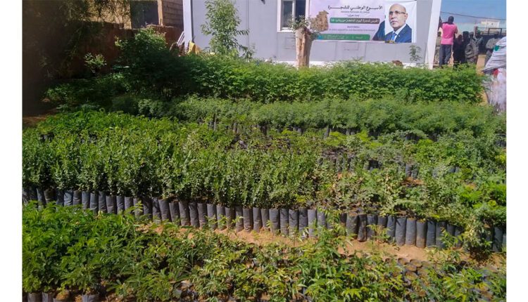إطلاق فعاليات الأسبوع الوطني للشجرة بولاية كيدي ماغه