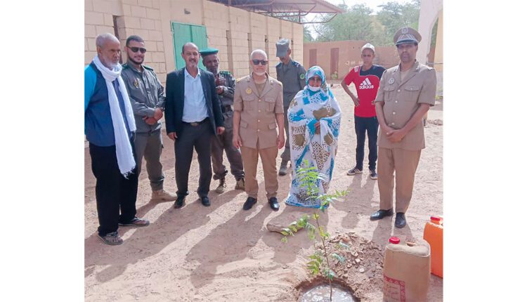 إطلاق فعاليات الأسبوع الوطني للشجرة بولاية آدرار