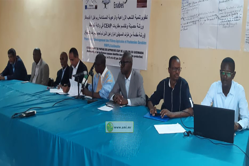 الإتحاد الأوربي يمول ورشة للتطوير الزراعي بكيدي ماغا