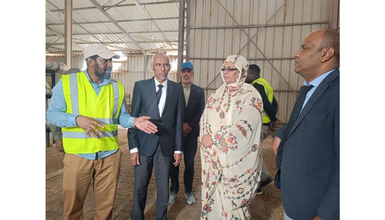 شركة المياه.. تشخص واقع المياه بنواذيبو