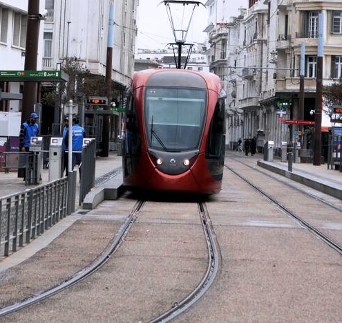 صورة تخدم المحتوى 