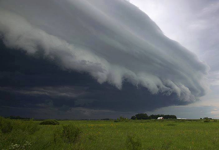 تساقطات مطرية خفيفة في أربع من ولايات الداخل