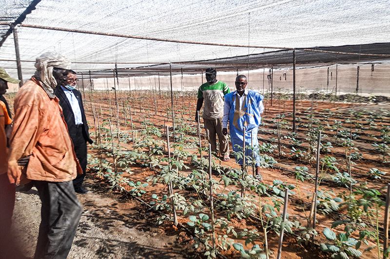 صورة تخدم المحتوى 