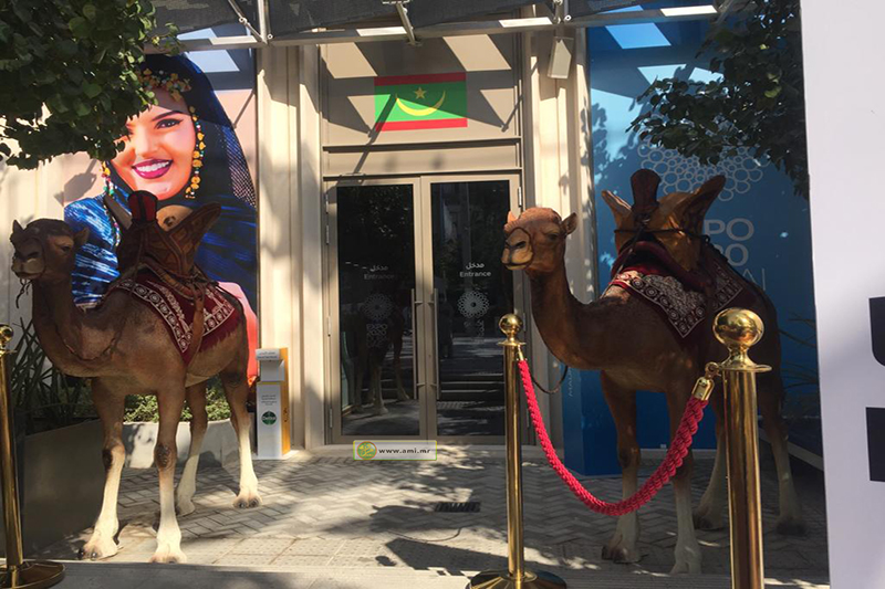 جناح موريتانيا بمعرض إكسبو يجذب الزوار بمجسماته الفنية 