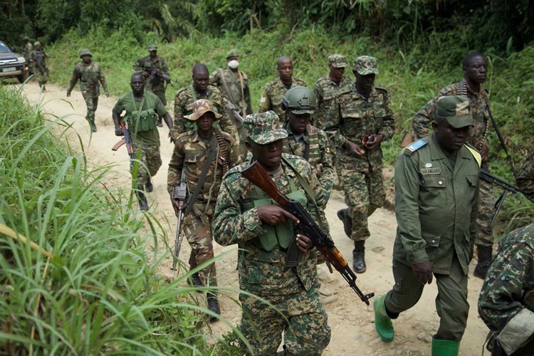 مقتل 6 رجال أمن في الكونغو على يد مسلحين (الميادين)