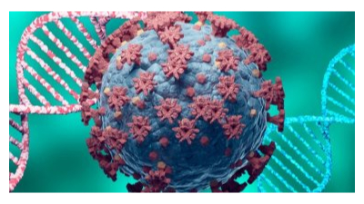 الجزائر: 395 إصابة و5 وفيات جديدة بفيروس كورونا