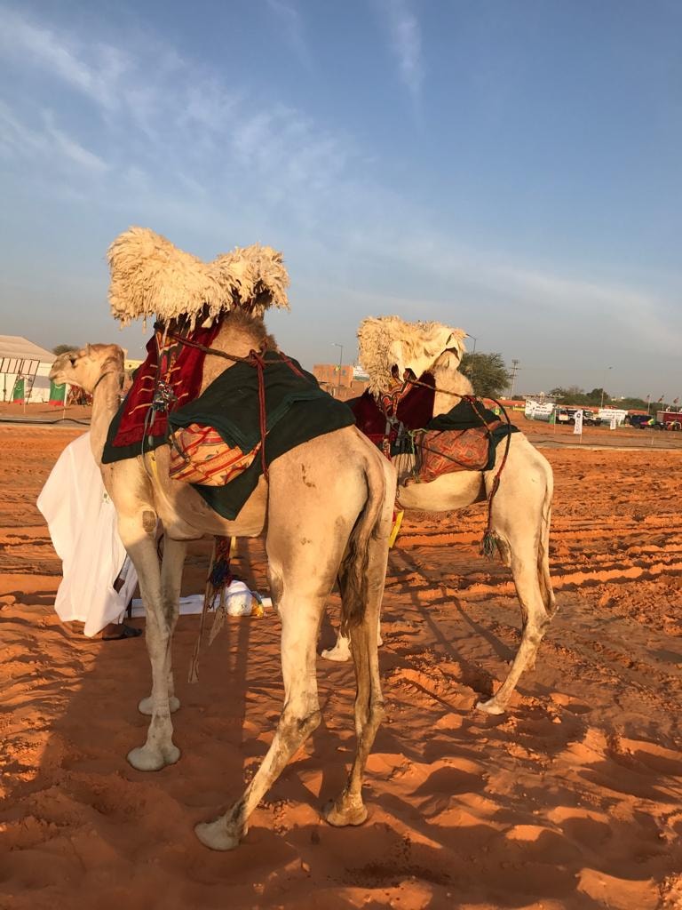 هدية اتحادية المنمين تسرق الأضواء في استقبالات الرئيس السنغالي