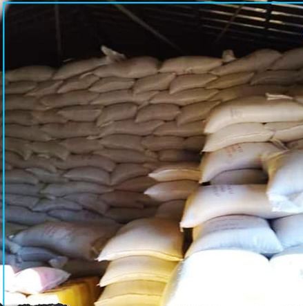 إحالة أربعة متهمين إلى السجن المدني في قضية الأرز الفاسد 