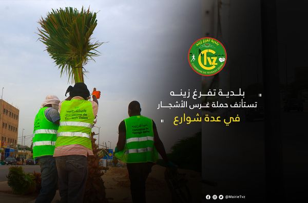 الصورة من صفحة بلدية تفرغ زينة على الفيس بوك