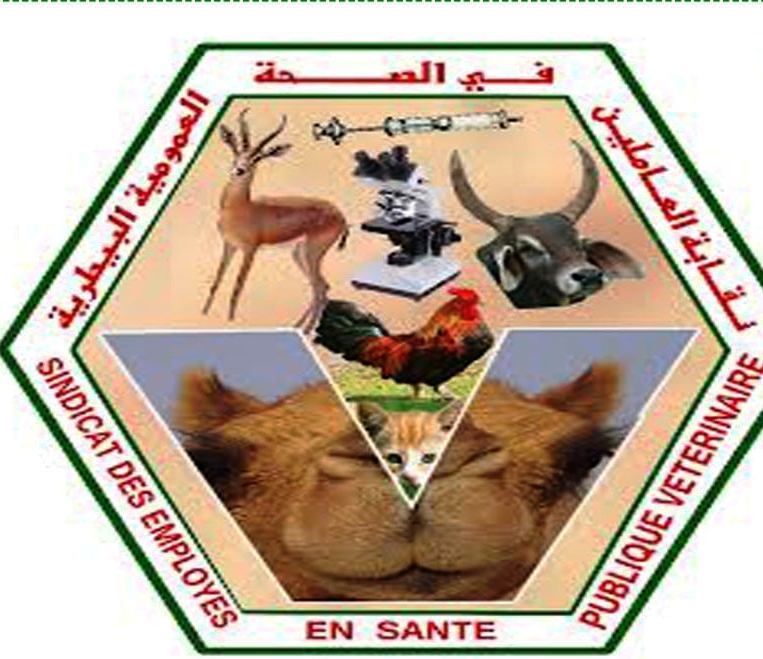 نقابة بيطرية تطالب بإيجاد حلول عاجلة لمشاكل القطاع وتلوح بالتصعيد (بيان)