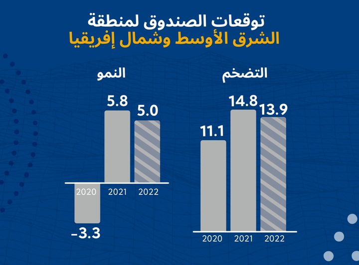 انفوغراف توقعات صندوق النقد الدولي بخصوص نمو دول الشرق الأوسط وشمال افريقيا