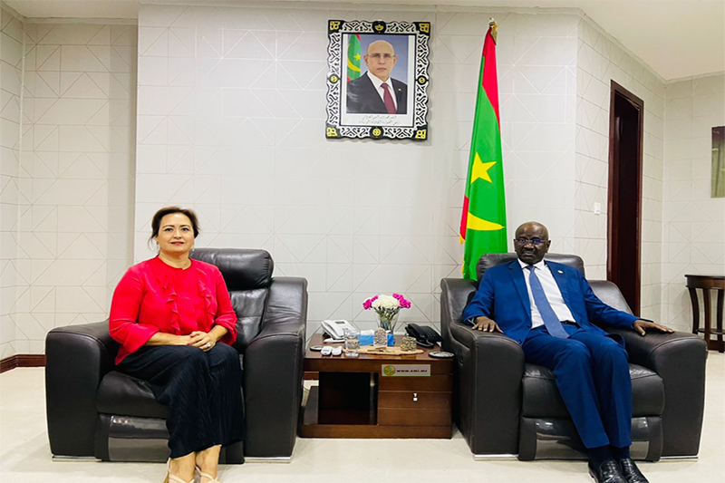 وزير الخارجية يبحث علاقات التعاون مع السفيرة الإسبانية