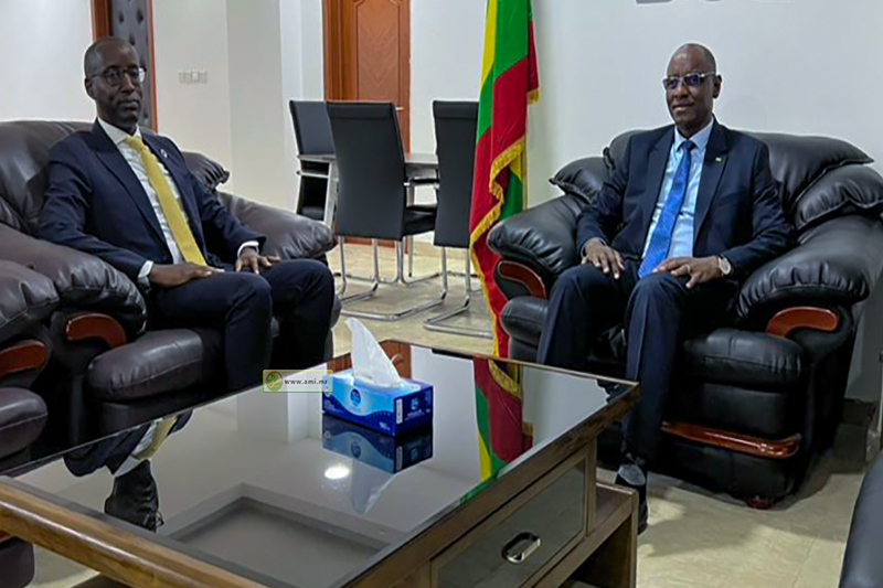 وزير الزراعة يلتقي الممثل المقيم لبرنامج الأمم المتحدة للتنمية في موريتانيا