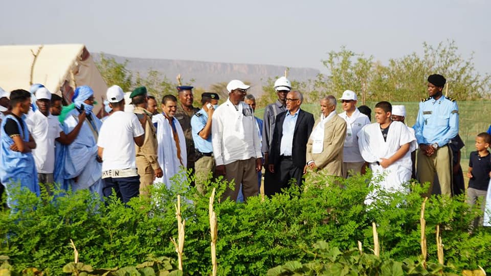 صورة أرشيفية 