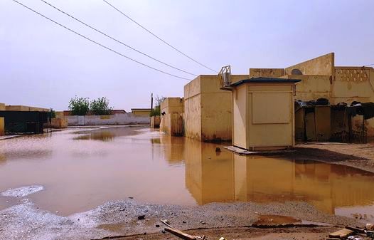 صورة تخدم المحتوى 