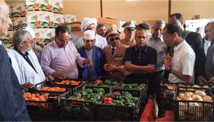 وزير الزراعة يزور منشات زراعية في اترارزة