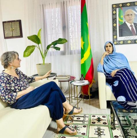 وزارة التعليم العالي تدرس إنشاء منصة رقمية للمخطوطات الموريتانية