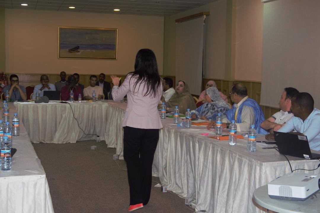 هيئات حقوقية دولية تكّون الصحفيين الموريتانيين حول حماية الصحفيين 