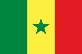 السنغال: 393حالة شفاء و9 إصابات جديدة بفيروس كورونا