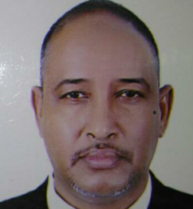   الأستاذ: محمد ولد شيخنا 