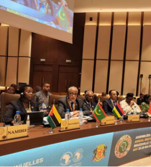 موريتانيا تستعرض الأصلاحات الاقتصادية أمام مجلسي محافظي البنك وصندوق التنمية ببرازافيل
