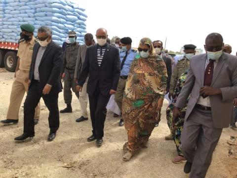 .  توقعات رسمية بوصول المساحة المزروعة في الحملة الصيفية إلى 32000هكتار 