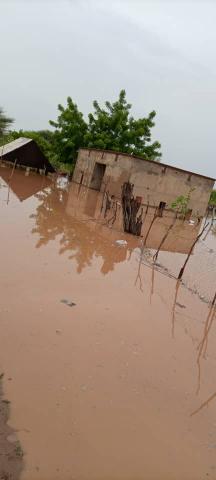 صورة تخدم النص (الانترنت)