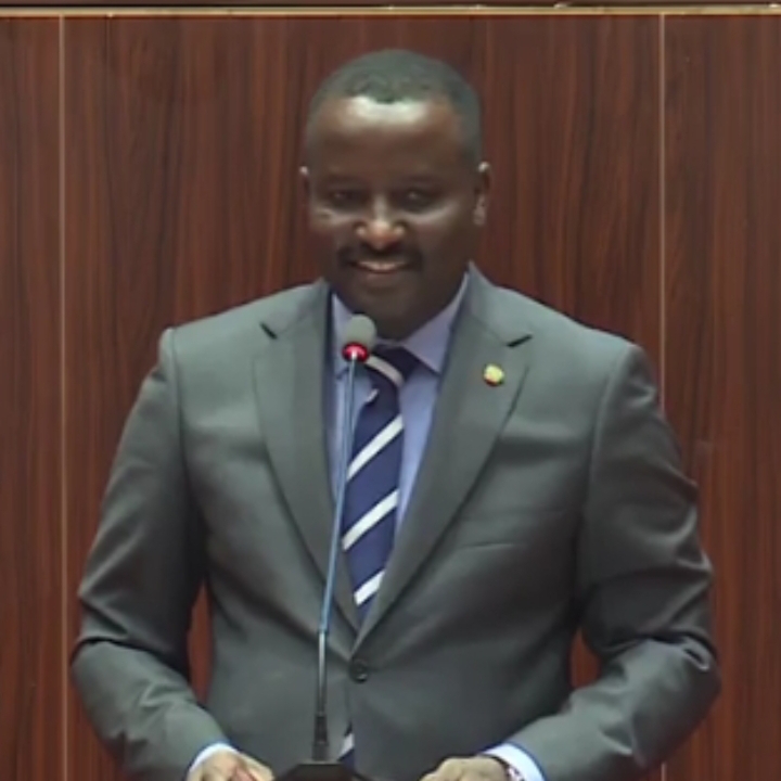 وزير التنمية الحيوانية يلتقي السفيرة الإسبانية