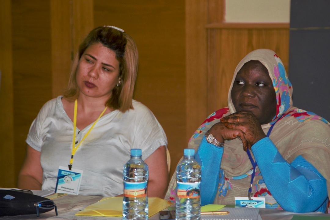 هيئات حقوقية دولية تكّون الصحفيين الموريتانيين حول حماية الصحفيين 