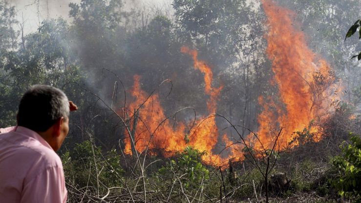 الحرائق تأتي على عشرات الهكتارات في مناطق متفرقة من الجزائر