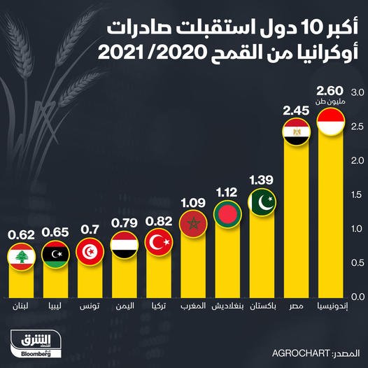 أزمة القمح عقب توترات روسيا وأوكرانيا.. الجزائر الناجي الوحيد عربيا  