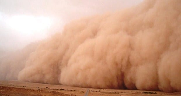 لجنة الطوارئ: تسجل سقوط أعمدة كهربائية ونفوق أغنام بسبب الأمطار