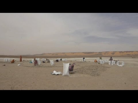 غلق 5 مخابز وتحويل ستة أشخاص إلى العدالة بسبب الملح