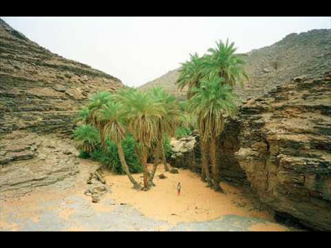 اجتماع تقييمي وتكويني للمصلحين القضائيين بأطار 