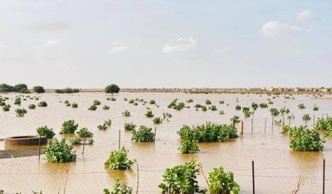 توقع تساقطات مطرية الأسبوع المقبل