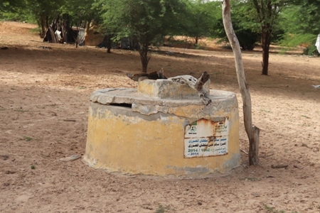 ضعف المضحات الارتوازية وملوحة الآبار من أكثر المشاكل المطلروحة في قرى طريق روصو -نواكشوط