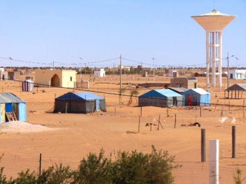 إنشيري: فعاليات للتوعية بمقاربة النوع والمحافظة على البيئة